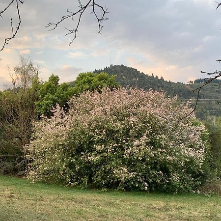 Villa Laragh-On-Hogsback Esterno foto