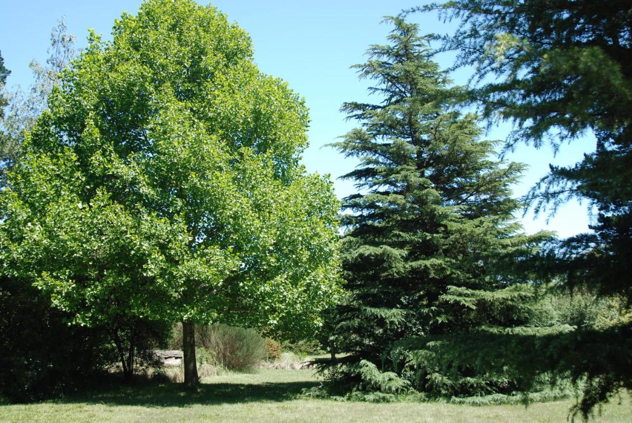 Villa Laragh-On-Hogsback Esterno foto