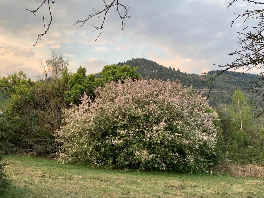 Villa Laragh-On-Hogsback Esterno foto