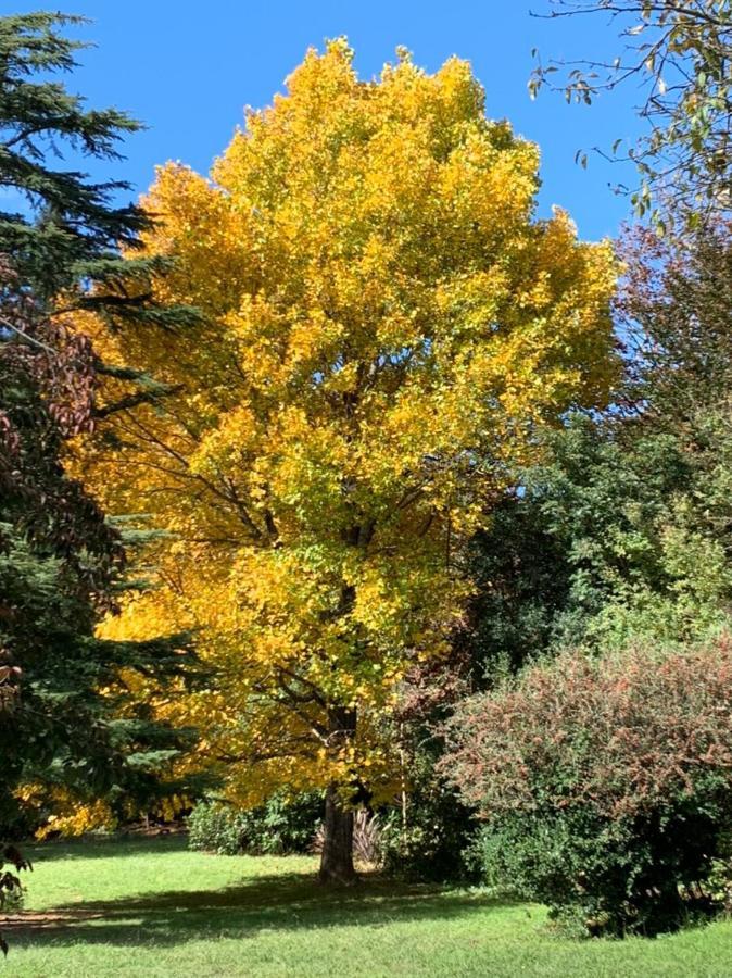 Villa Laragh-On-Hogsback Esterno foto
