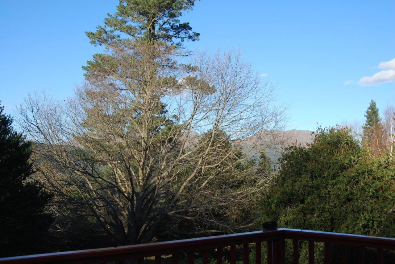 Villa Laragh-On-Hogsback Esterno foto