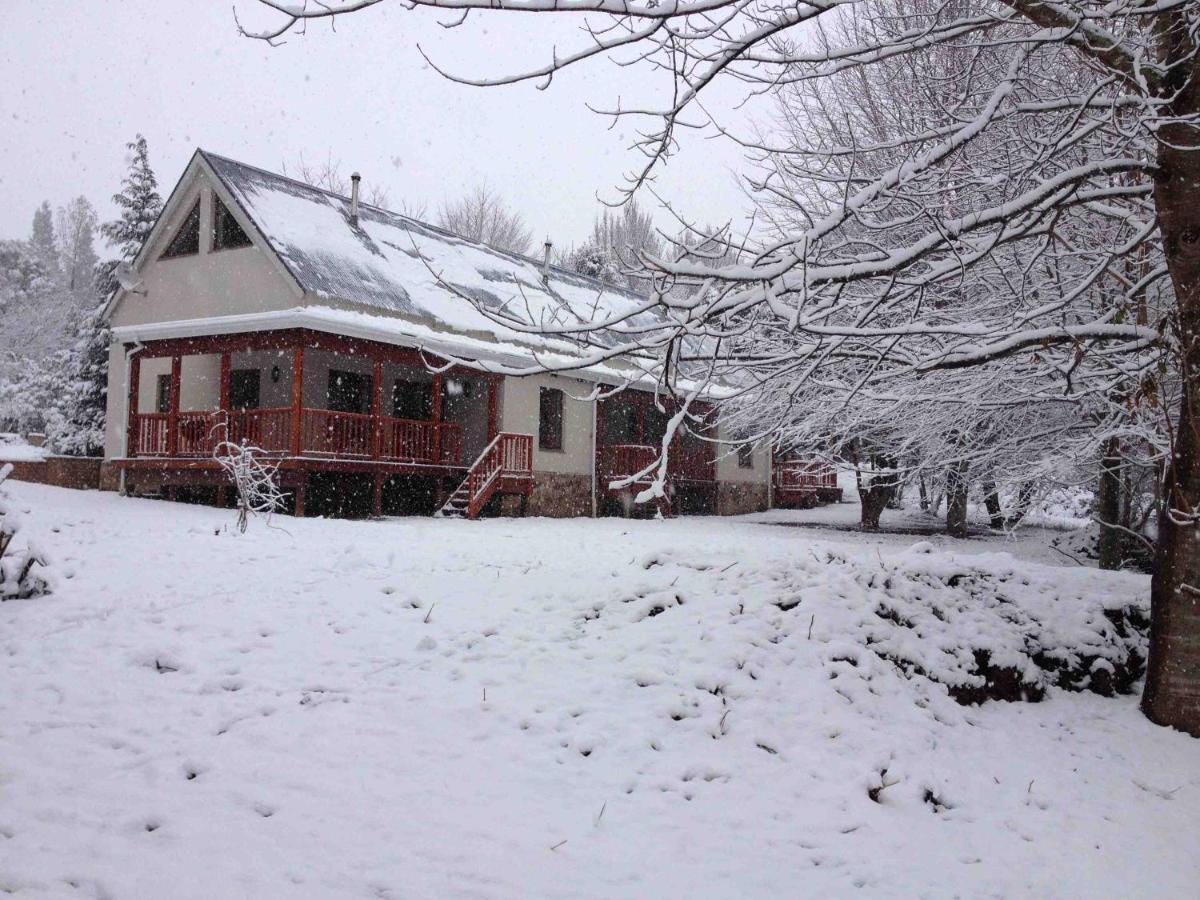 Villa Laragh-On-Hogsback Esterno foto