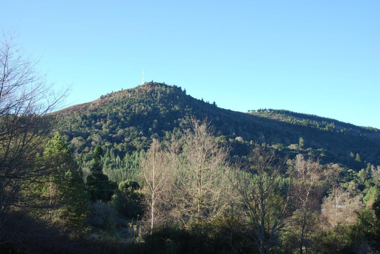 Villa Laragh-On-Hogsback Esterno foto