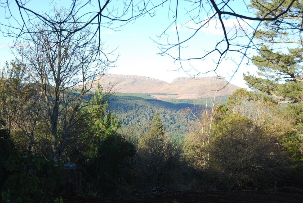 Villa Laragh-On-Hogsback Esterno foto